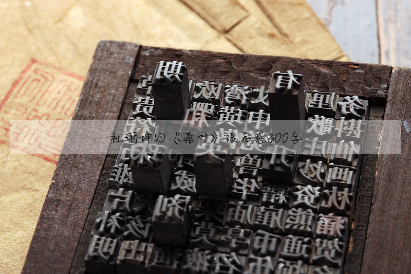 杜渐坤的《落叶》读后感300字