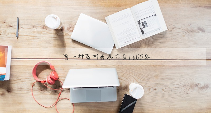 有一种爱叫感恩作文1600字