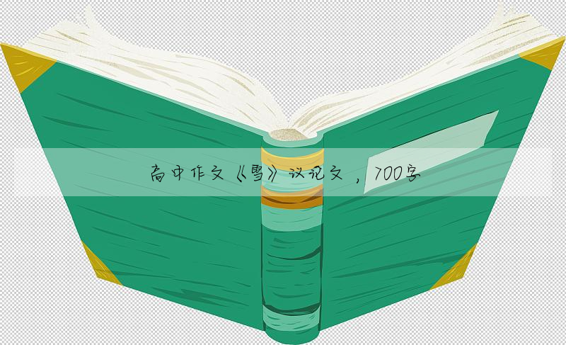高中作文《雪》议论文 ,700字