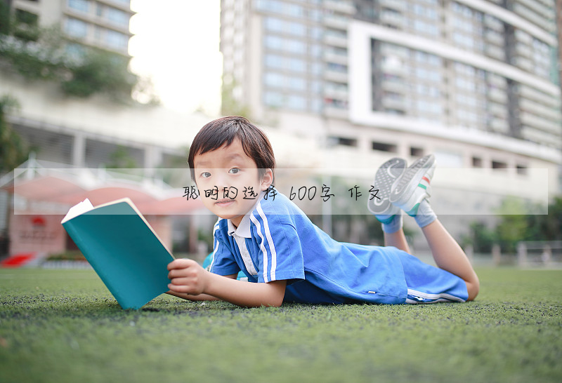 聪明的选择 600字 作文