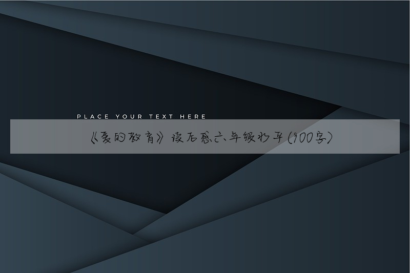 《爱的教育》读后感六年级水平(900字)