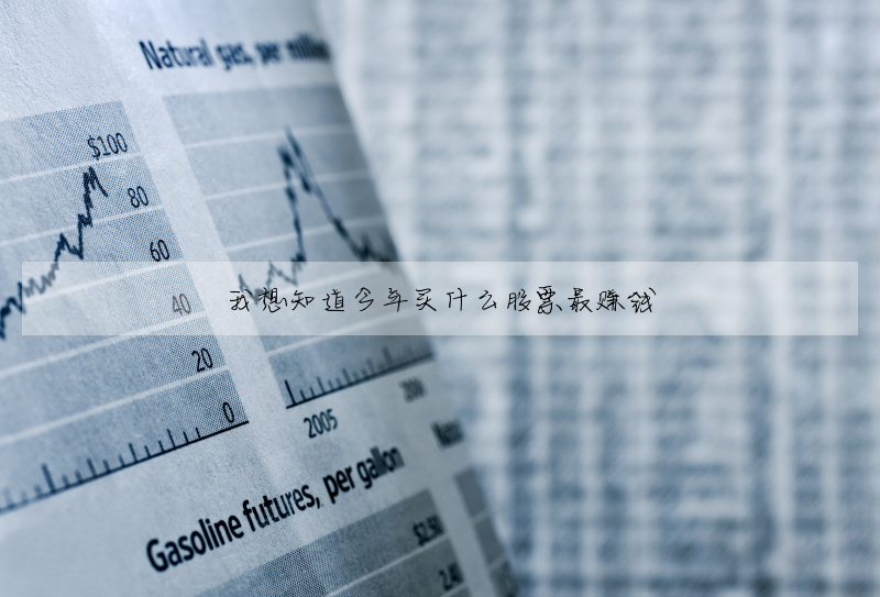 我想知道今年买什么股票最赚钱