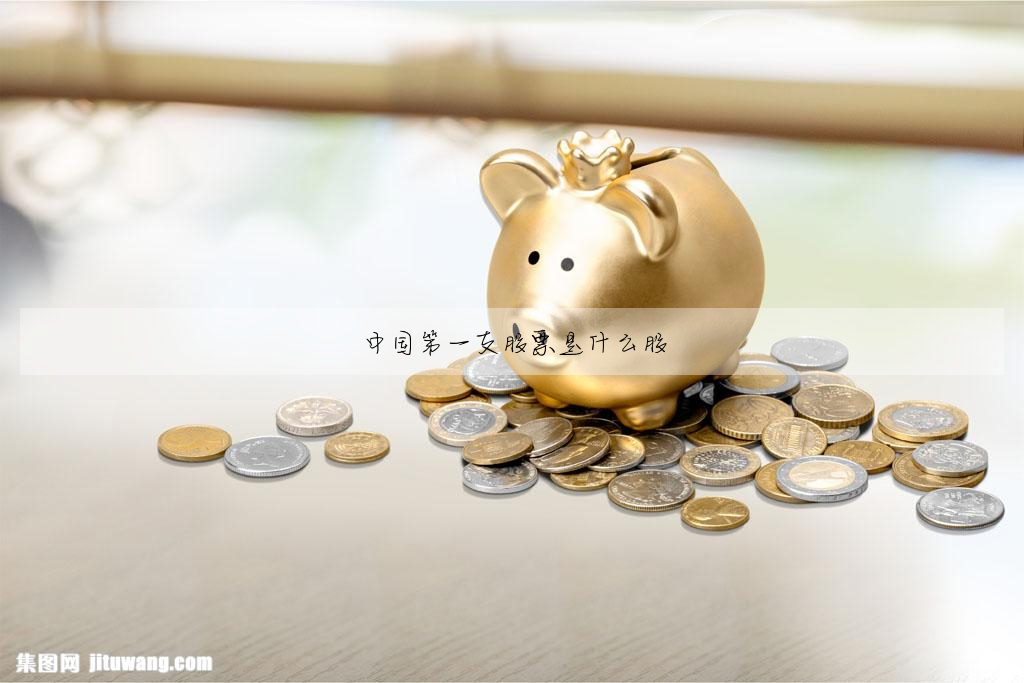 中国第一支股票是什么股