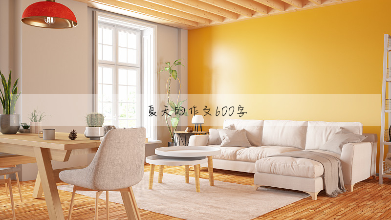 夏天的作文600字