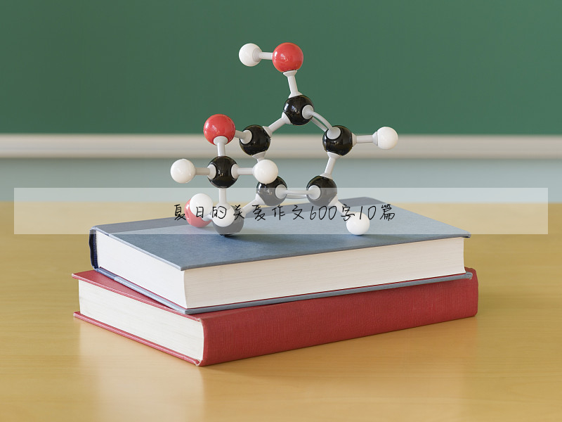 夏日的关爱作文600字10篇