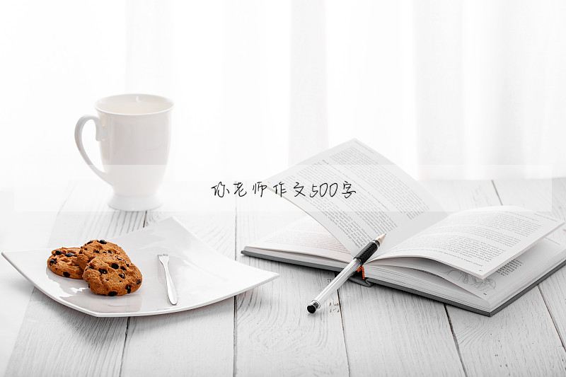 你老师作文500字