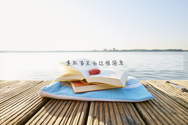 黄瓜苗生长过程简单