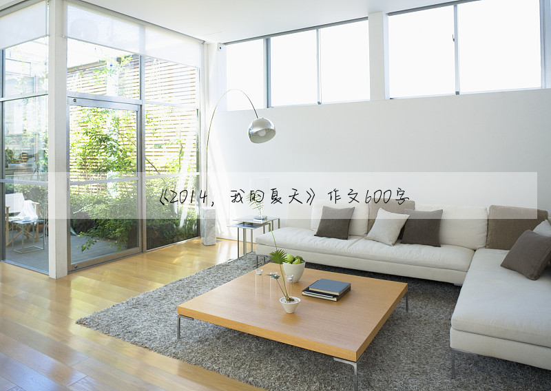 《2014,我的夏天》作文600字