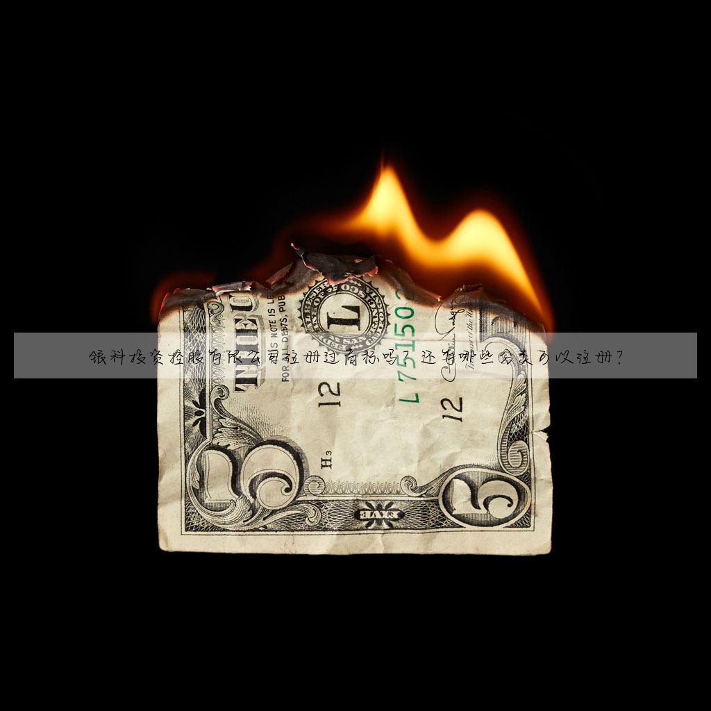 銀科投資控股有限公司注冊過商标嗎?還有哪些分類可以注冊?