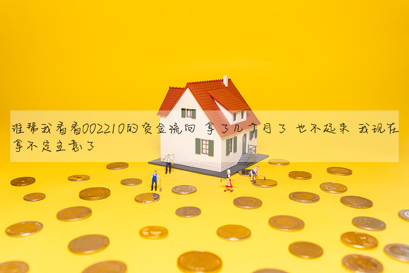 誰幫我看看002210的資金流向 拿了幾個月了 也不起來 我現在拿不定主意了