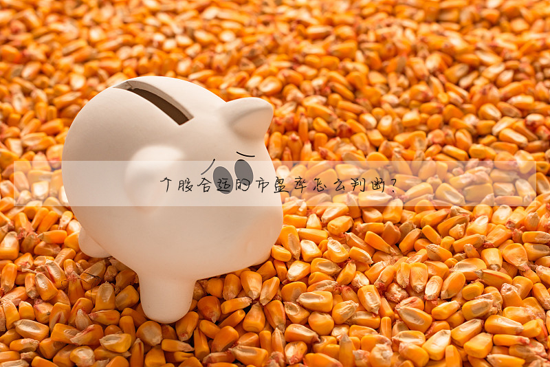 個股合适的市盈率怎麼判斷?