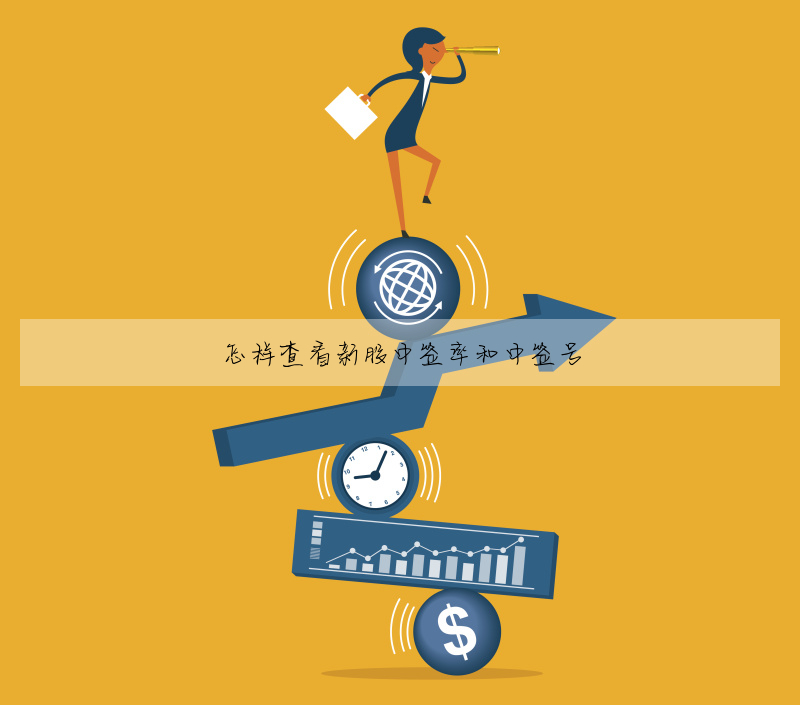 怎樣查看新股中簽率和中簽号