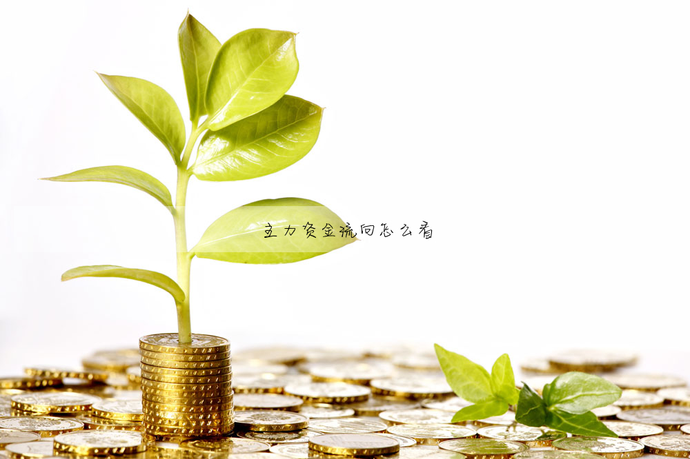 主力資金流向怎麼看