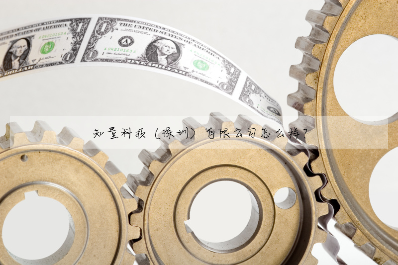 知量科技(深圳)有限公司怎麼樣?