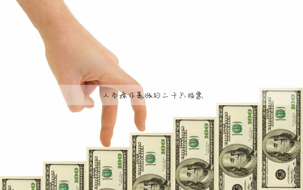 人為操作暴漲的二十隻股票