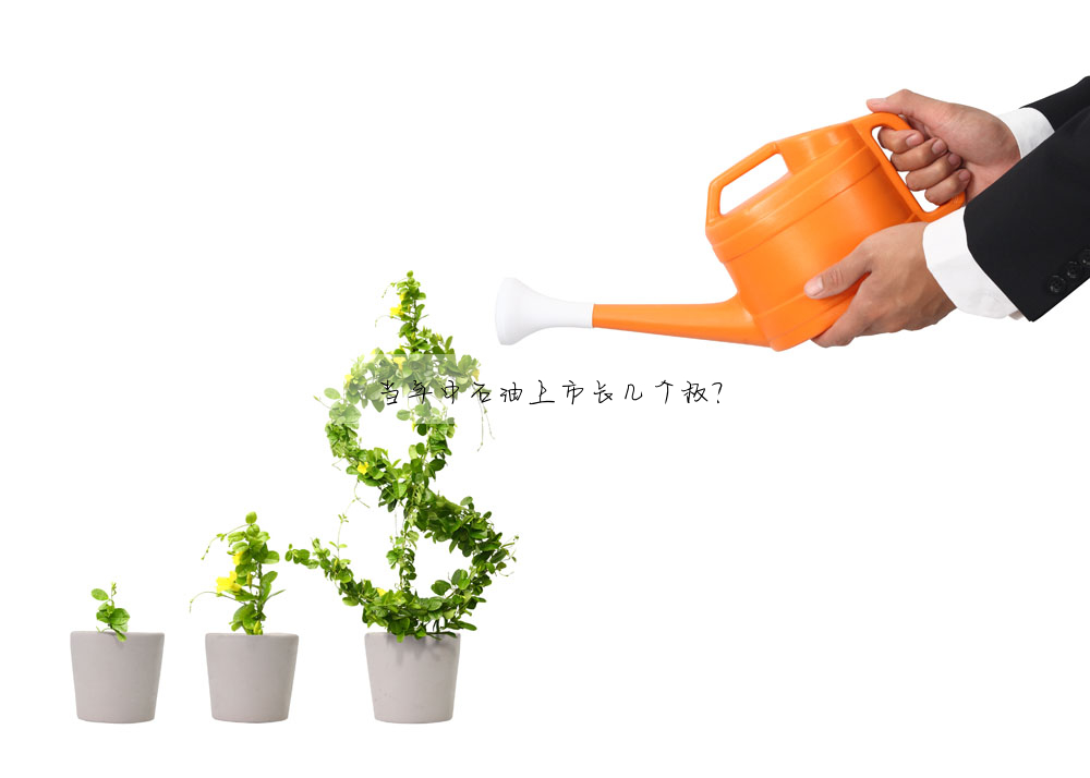 當年中石油上市長幾個闆?