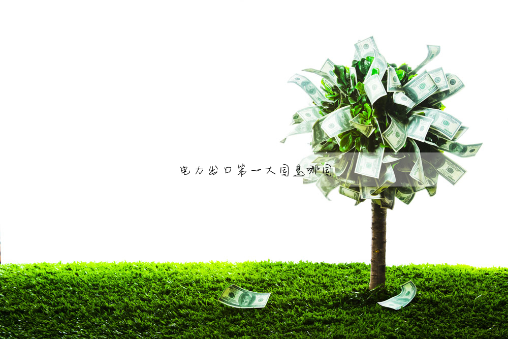 電力出口第一大國是哪國