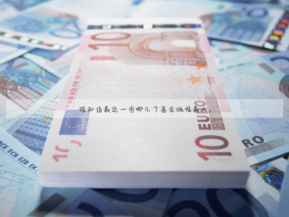 誰知道最近一周哪幾個基金漲幅最大。