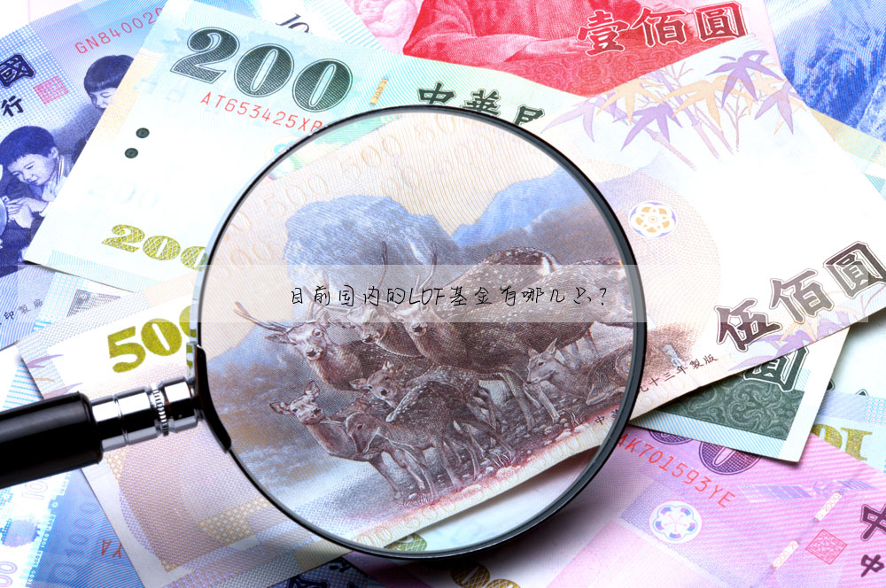 目前國内的LOF基金有哪幾隻?