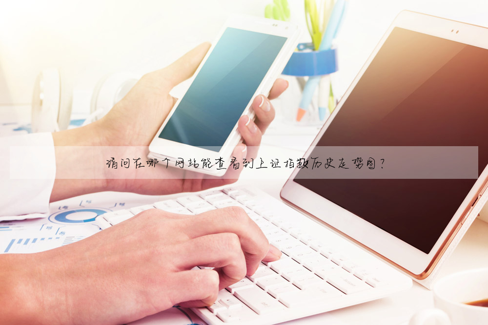 請問在哪個網站能查看到上證指數曆史走勢圖?