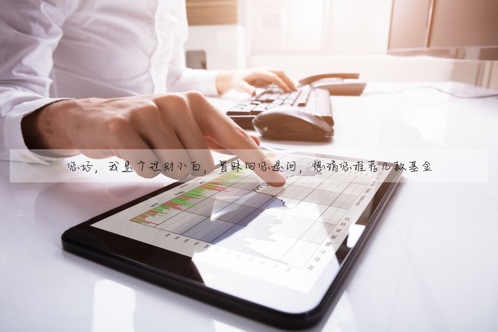 您好,我是個理财小白,冒昧向您提問,想請您推薦幾款基金