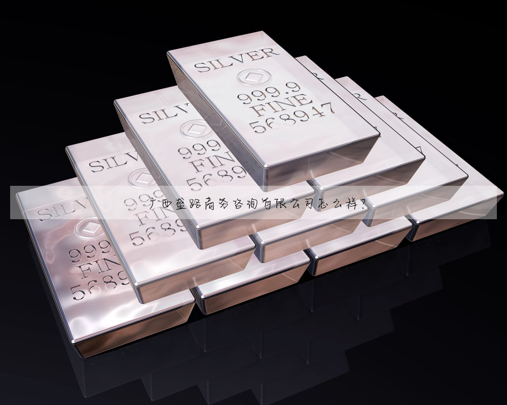 廣西盛路商務咨詢有限公司怎麼樣?