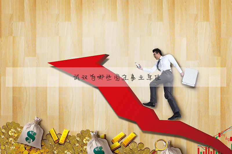 武漢有哪些國企事業單位