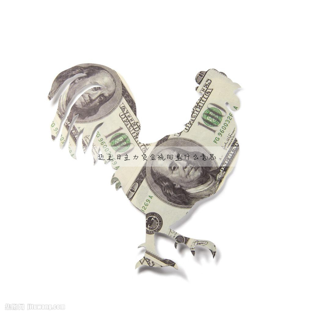 近五日主力資金流向是什麼意思