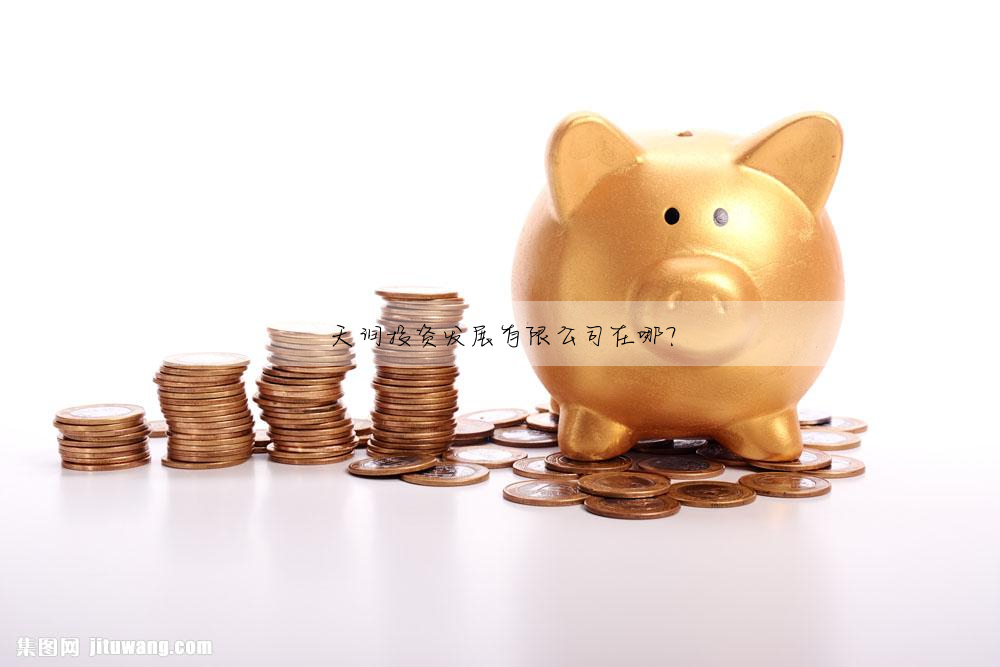 天潤投資發展有限公司在哪?