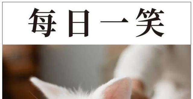 每日一笑兔子身上有开关
