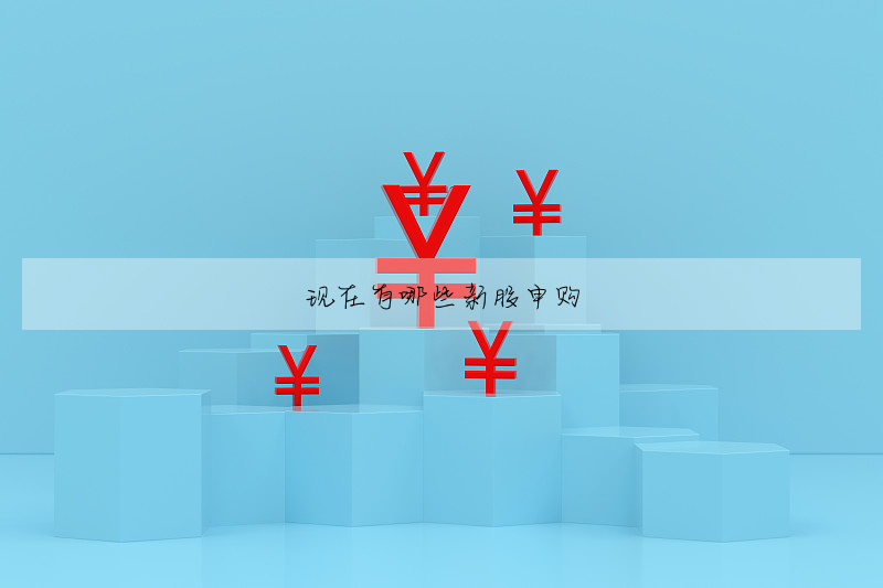 現在有哪些新股申購