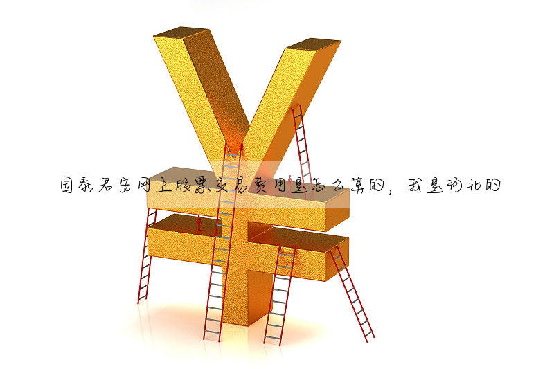 國泰君安網上股票交易費用是怎麼算的,我是河北的