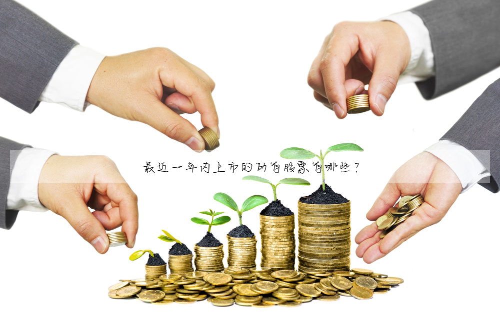 最近一年内上市的所有股票有哪些?