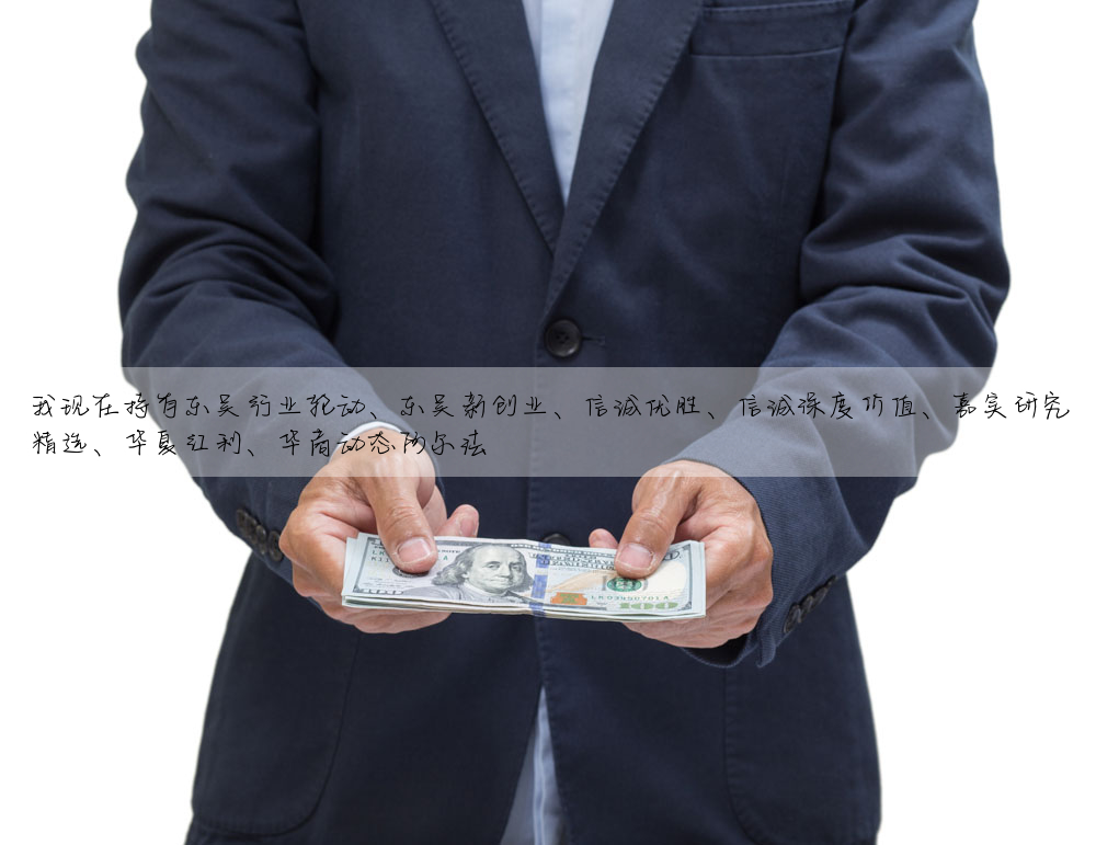 我現在持有東吳行業輪動、東吳新創業、信誠優勝、信誠深度價值、嘉實研究精選、華夏紅利、華商動态阿爾法