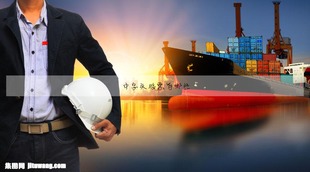 中字頭股票有哪些