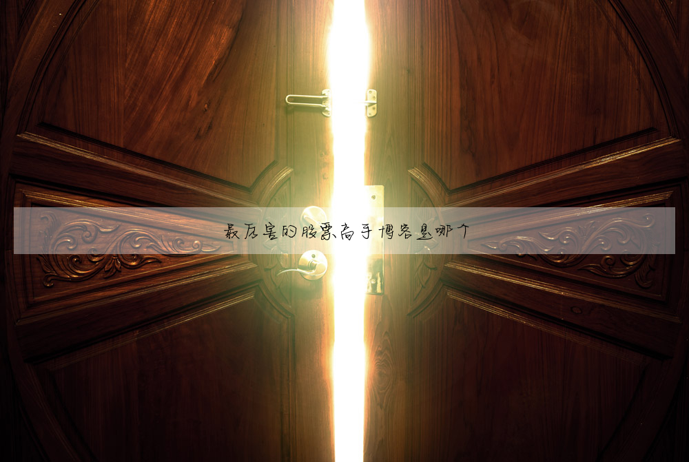 最厲害的股票高手博客是哪個