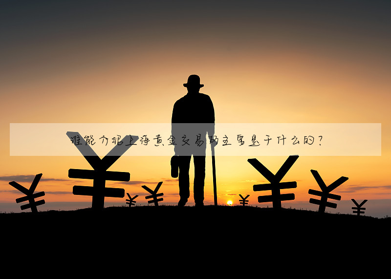 誰能介紹上海黃金交易所主要是幹什麼的?