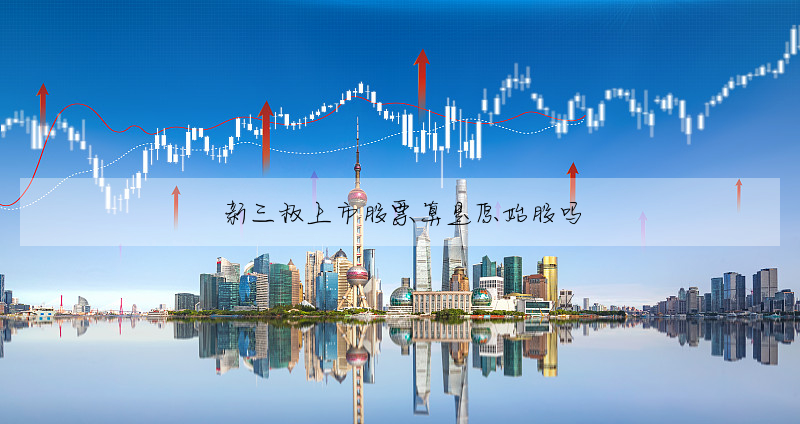 新三闆上市股票算是原始股嗎