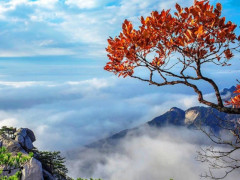 金寨天堂寨景区游玩攻略