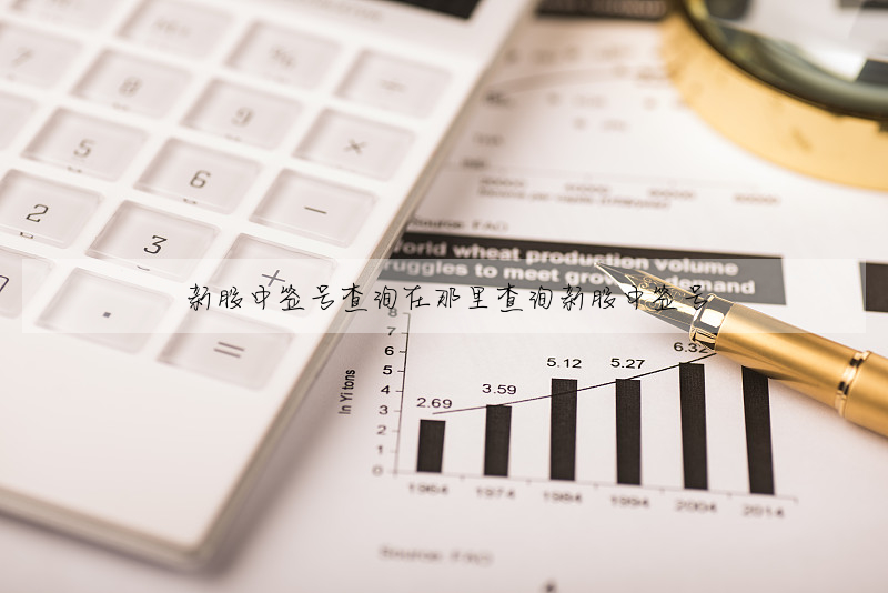 新股中簽号查詢在那裡查詢新股中簽号