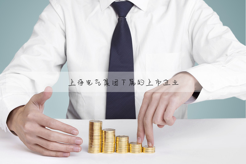上海電氣集團下屬的上市企業