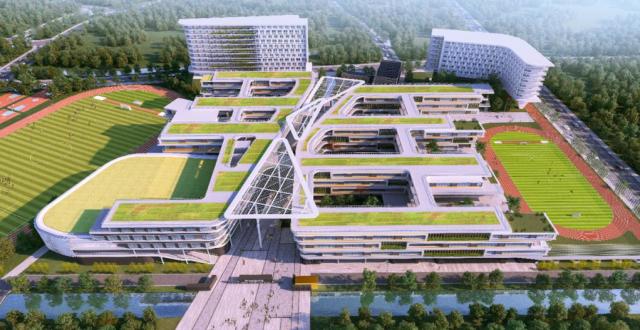 光明时评：九年一贯制学校建设关键还在内涵发展_腾讯新闻