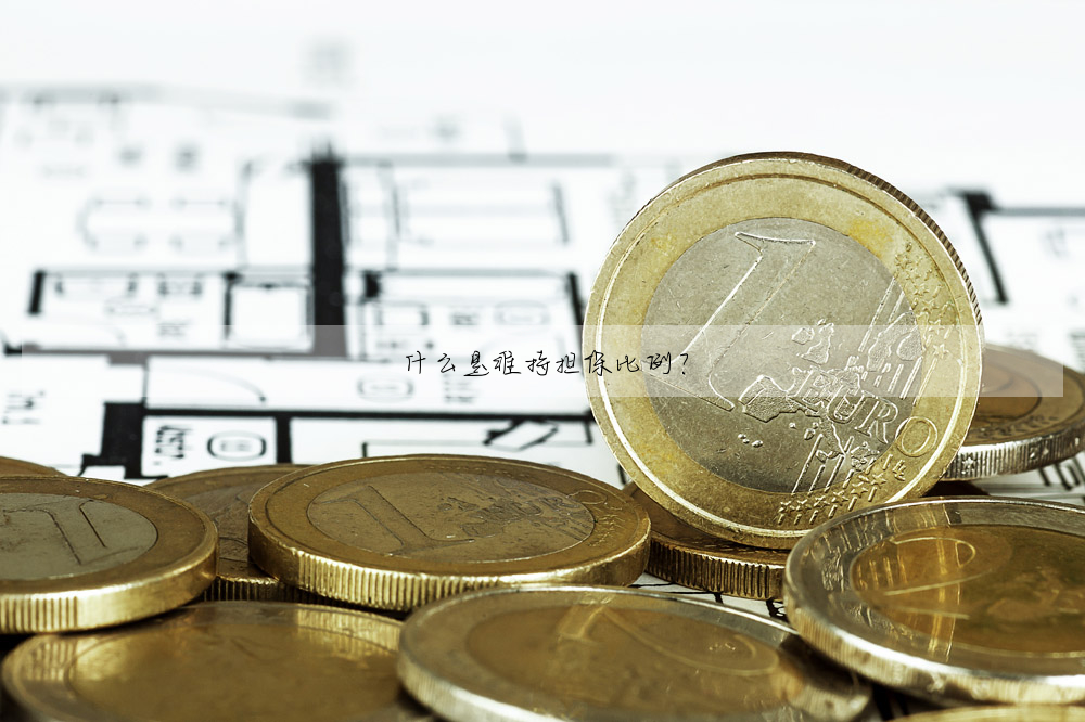 什麼是維持擔保比例?