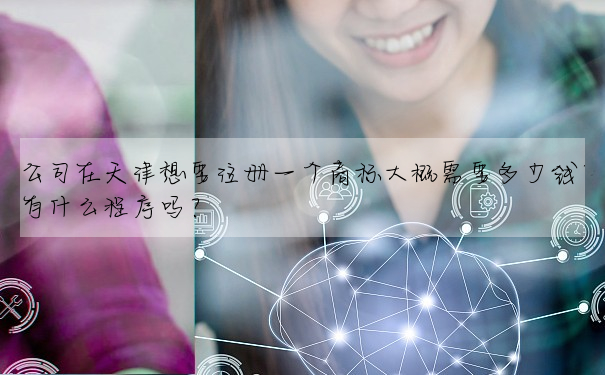 公司在天津想要注冊一個商标大概需要多少錢?有什麼程序嗎?