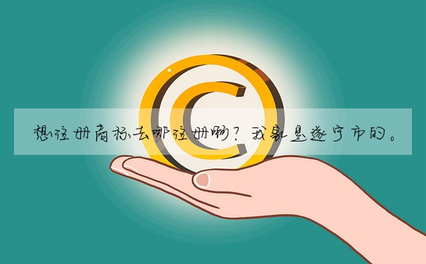 想注冊商标去哪注冊啊?我家是遂甯市的。