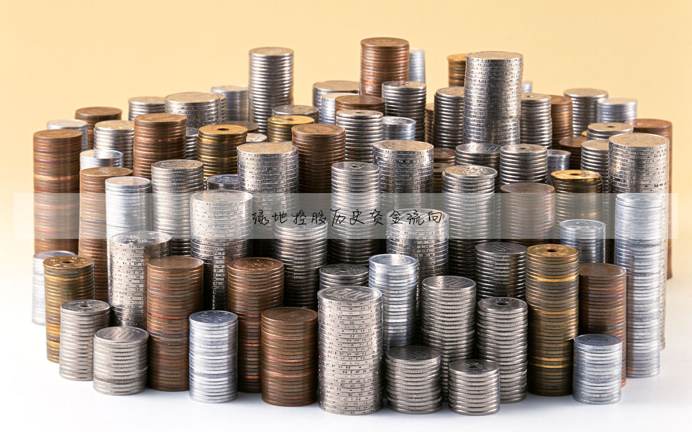 綠地控股曆史資金流向