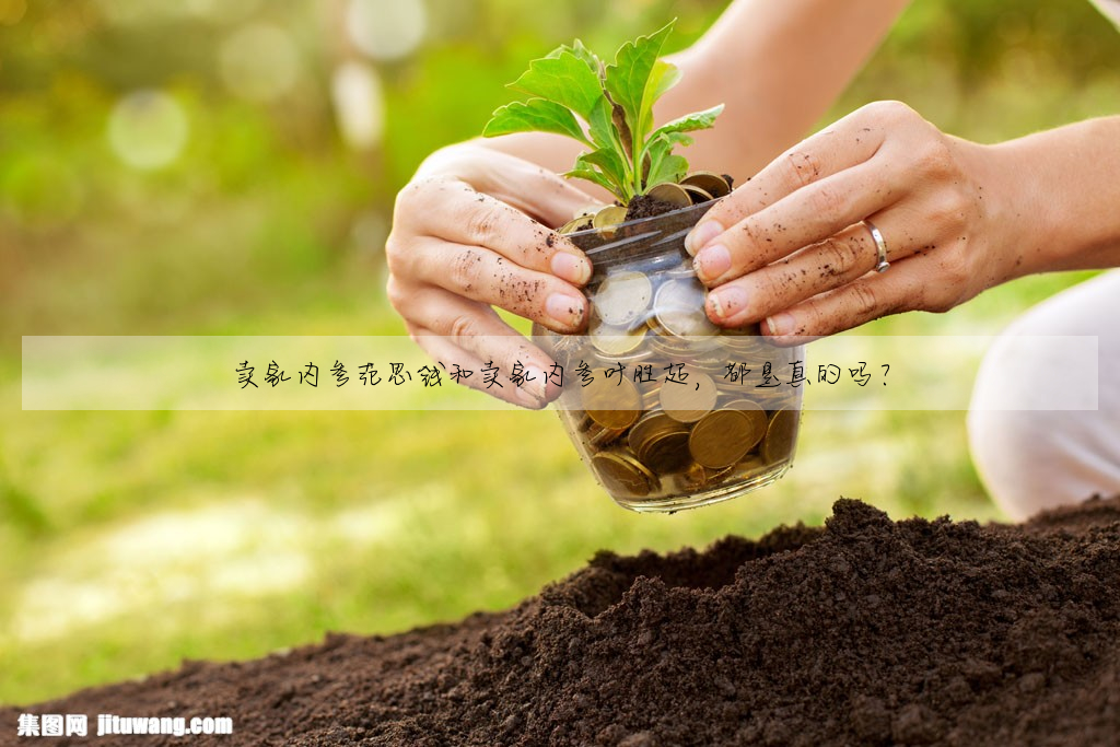 賣家内參範思錢和賣家内參葉勝超,都是真的嗎?