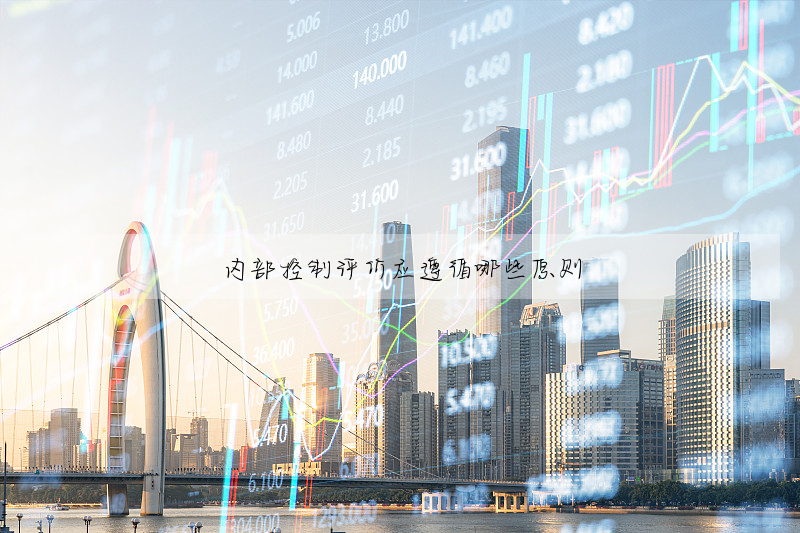 内部控制評價應遵循哪些原則