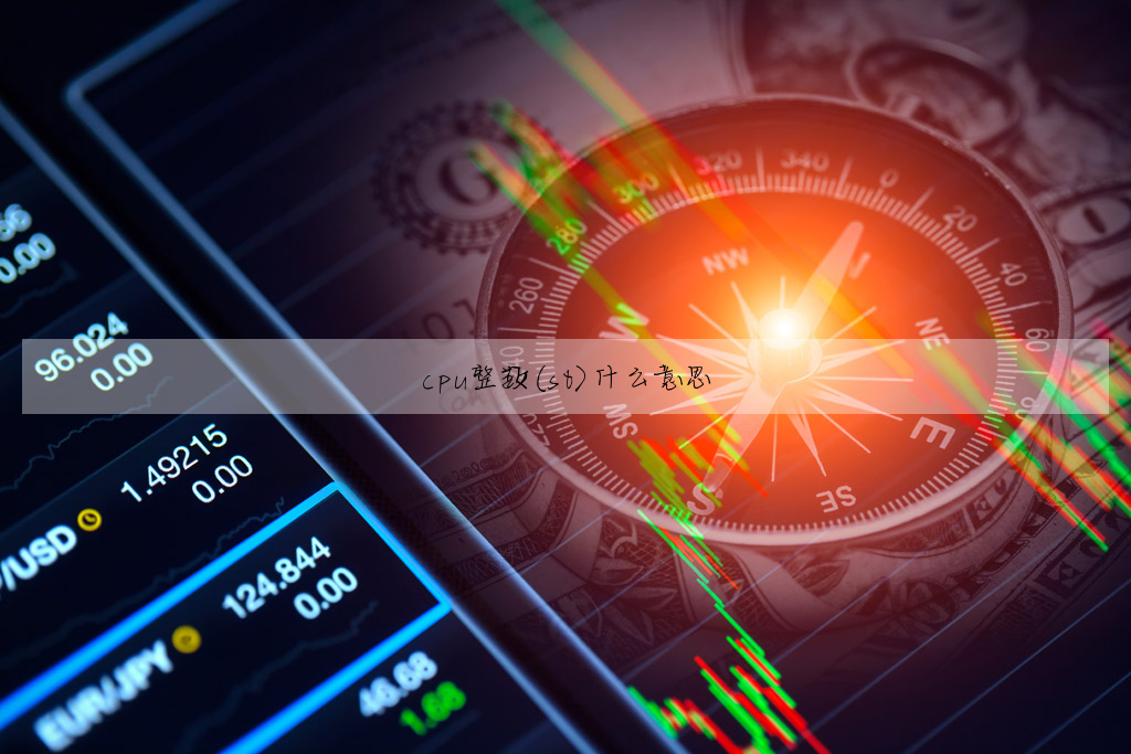 cpu整數(st)什麼意思