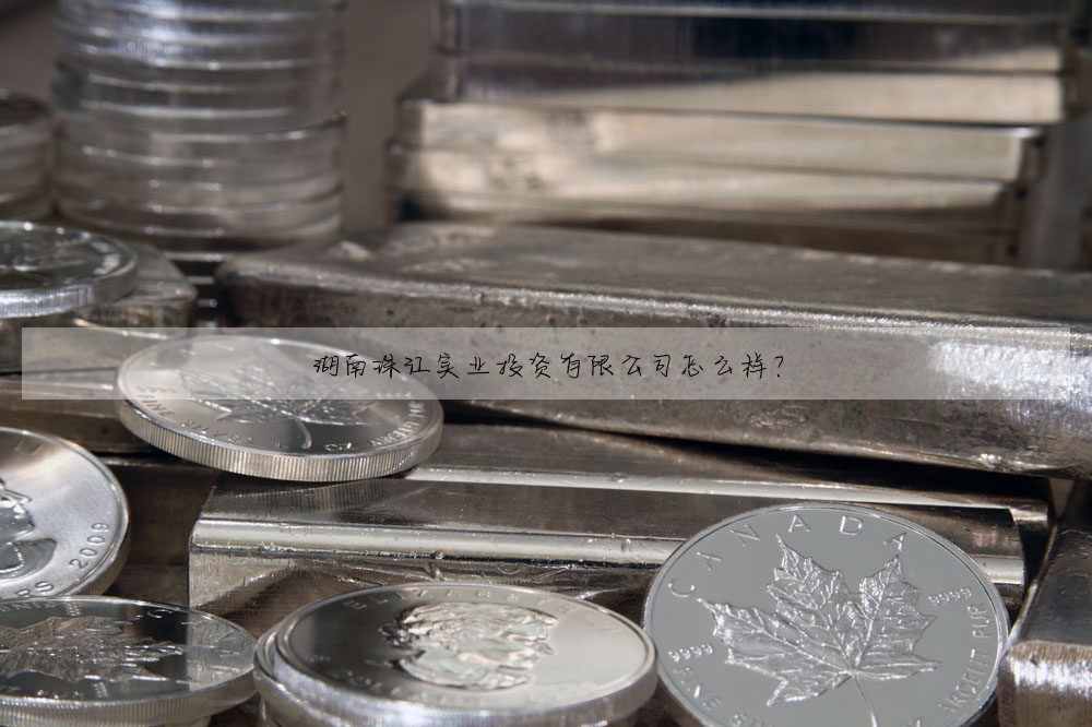 湖南珠江實業投資有限公司怎麼樣?